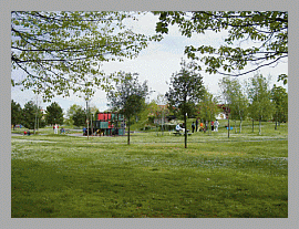 Immagine che raffigura Estate in forma