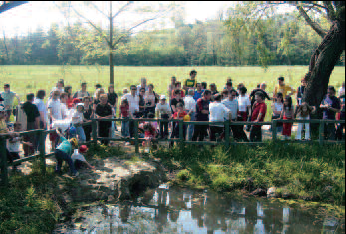 Immagine che raffigura 1° Maggio - Festa del Lavoro
