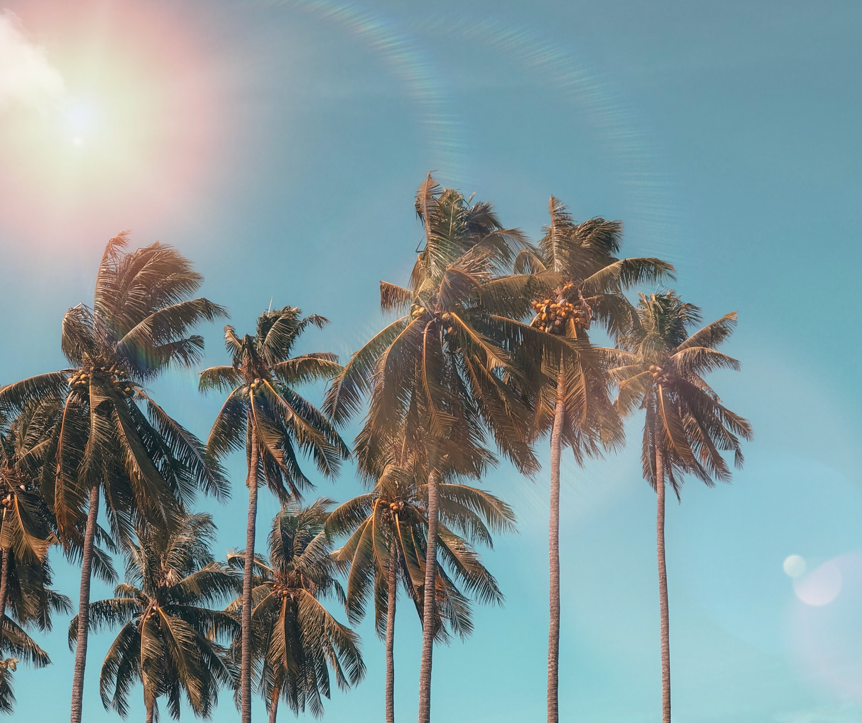 Immagine che raffigura Estate 2023 - Chiusure