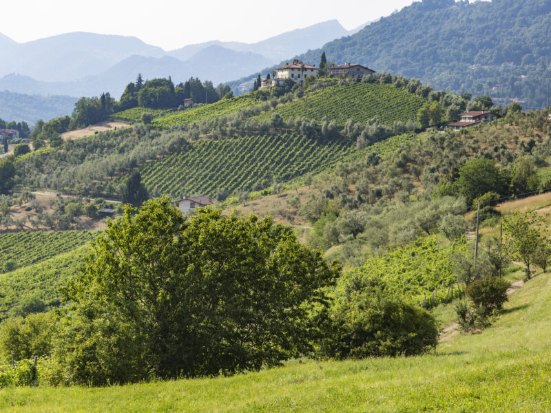 Immagine che raffigura La Via delle Sorelle