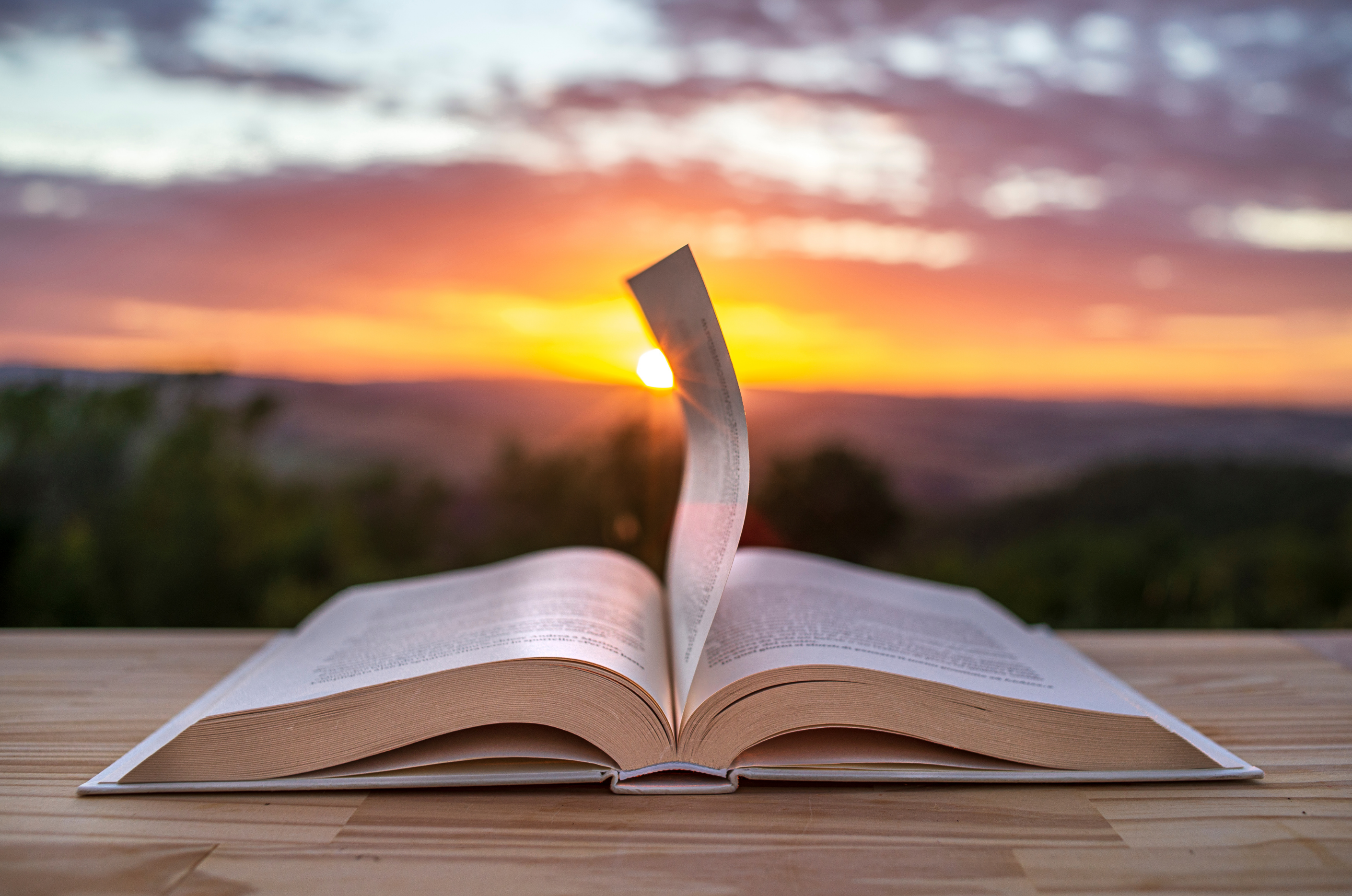 Immagine che raffigura Aperi-libri 2023