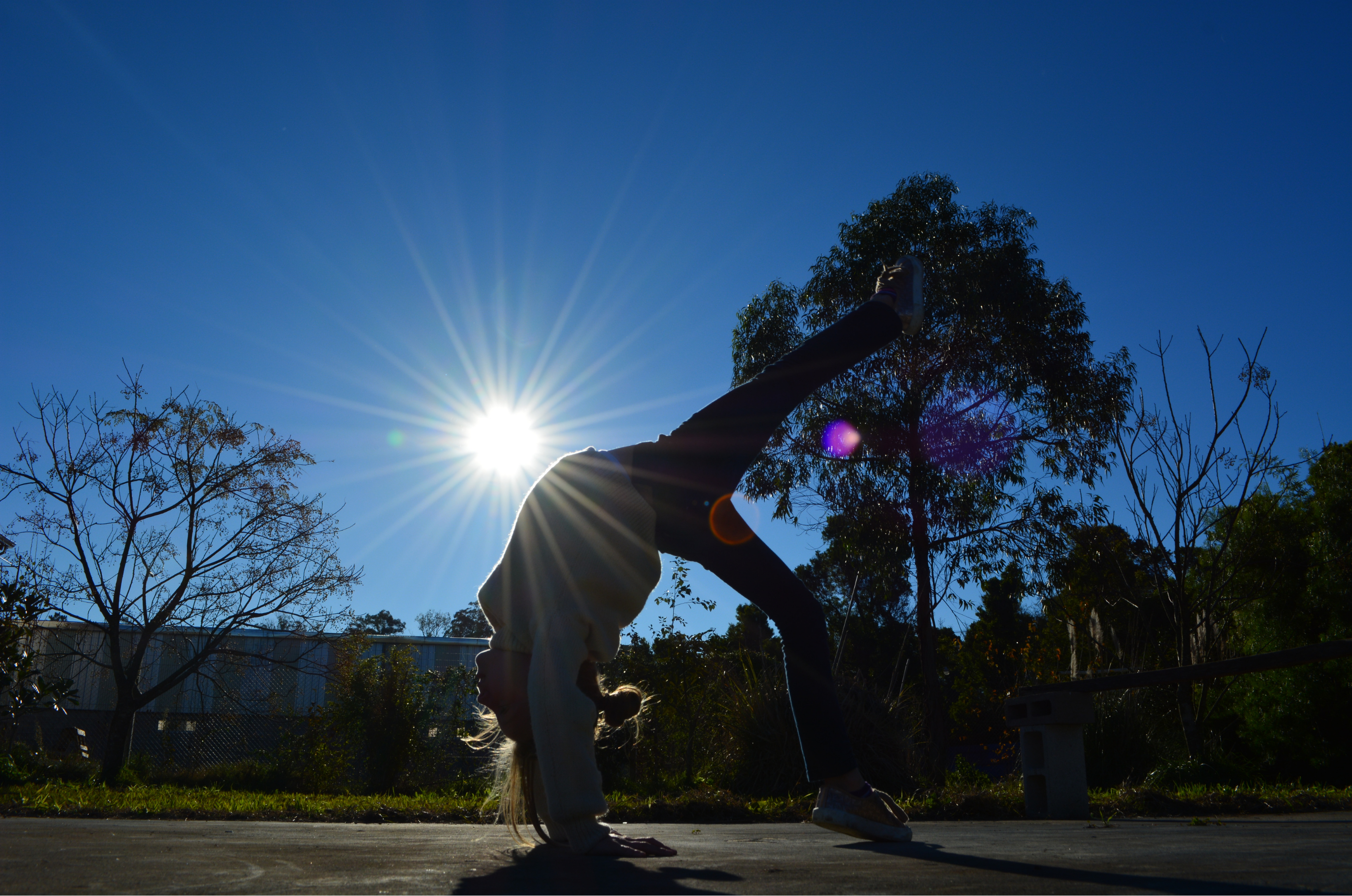 Immagine che raffigura Saggio di ginnastica artistica