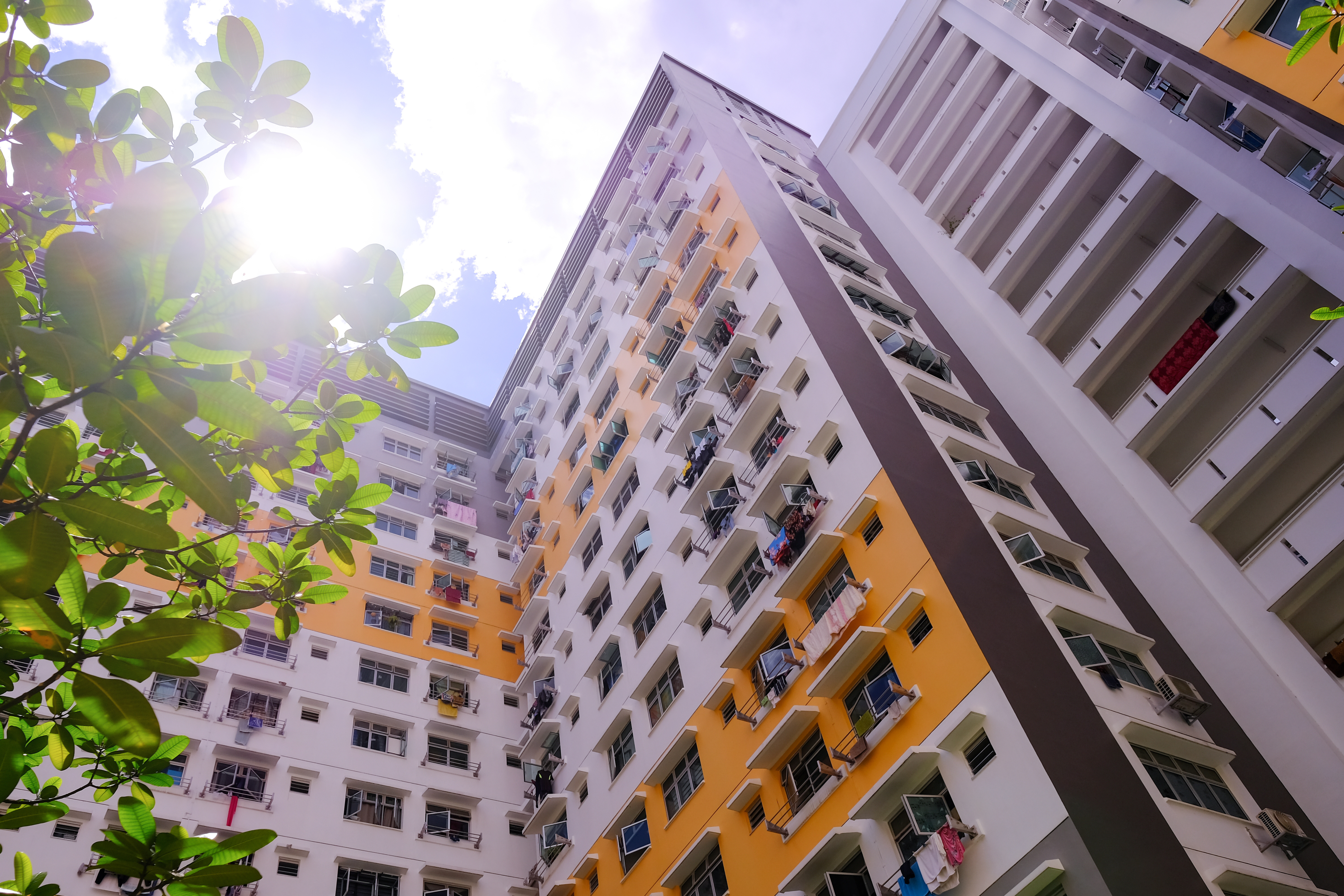 Immagine che raffigura Aperto il bando dei servizi abitativi pubblici - Novembre 2023