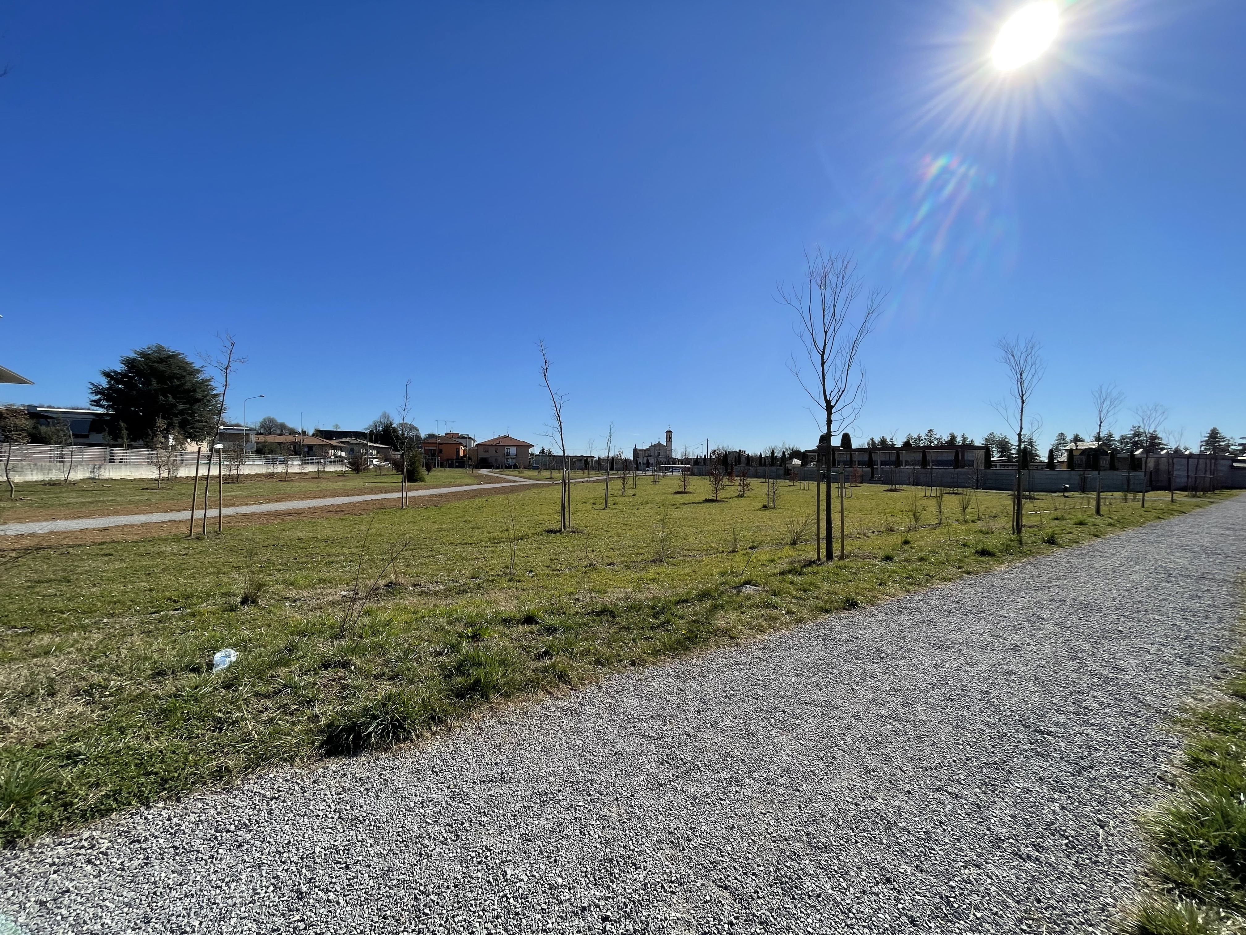 Immagine che raffigura Inaugurazione del bosco urbano