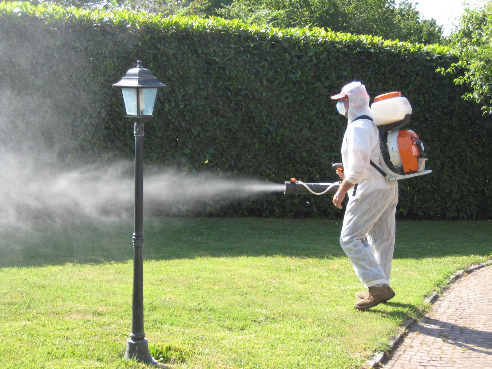 Immagine che raffigura Disinfestazione notturna contro la zanzara tigre