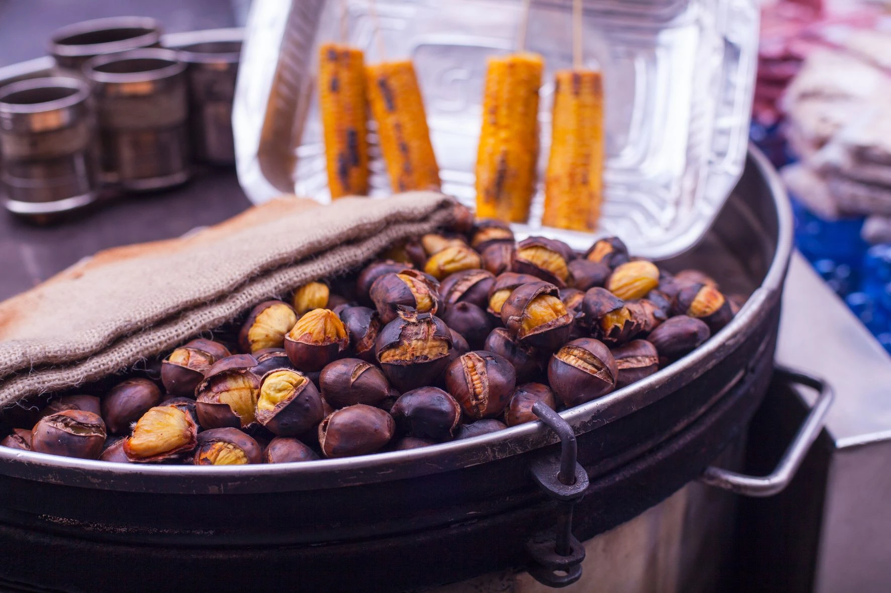 Immagine che raffigura Castagnata 2024