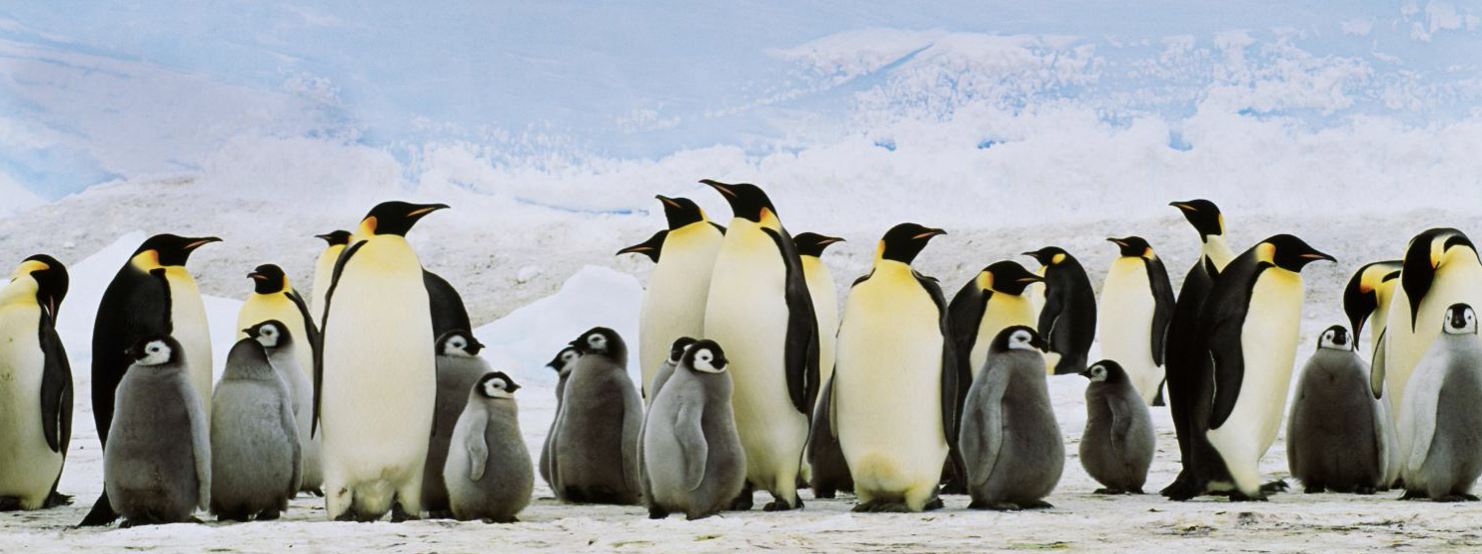 Immagine che raffigura Festa di Carnevale - ANNULLATA