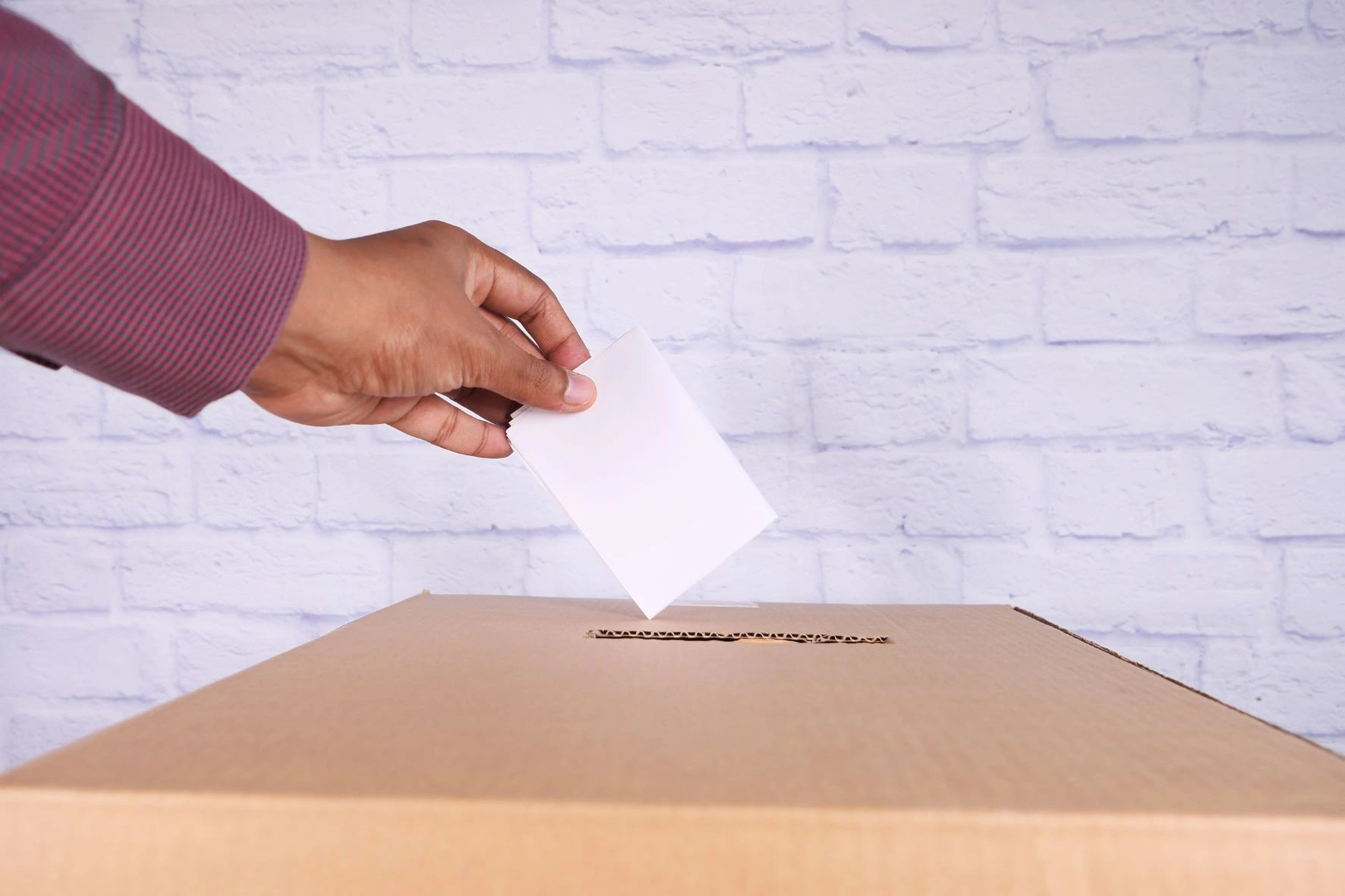 Immagine che raffigura Referendum abrogativi 2025, cosa e come si vota